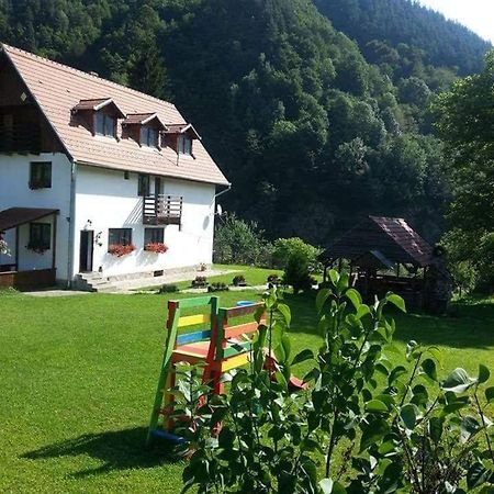 Cabana Valea Sadului Rau Sadului Buitenkant foto